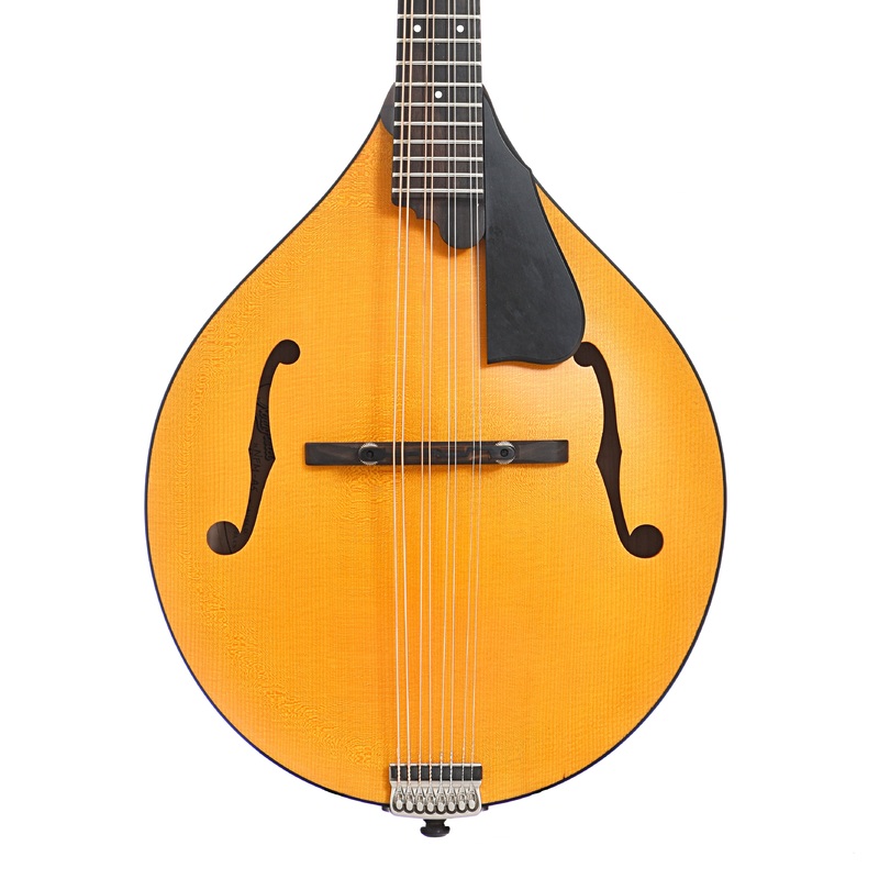 Northfield Workshop NFM-A5 Mandolin (2021)
