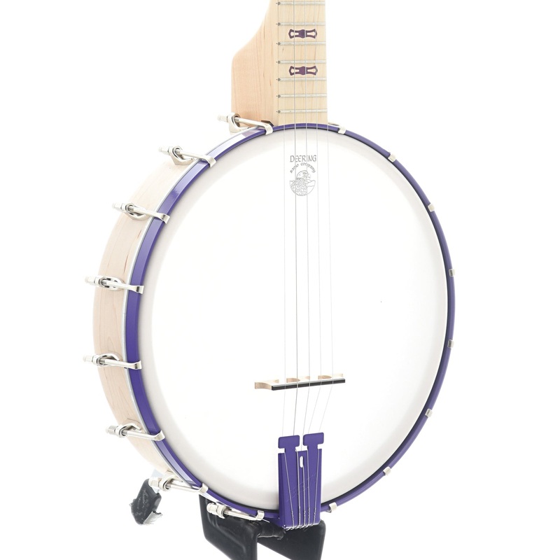 Deering Goodtime Junior, Sinbad Purple