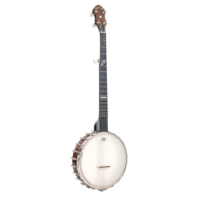 Gold Tone 5 String Open Back 11″ Planetry+Case