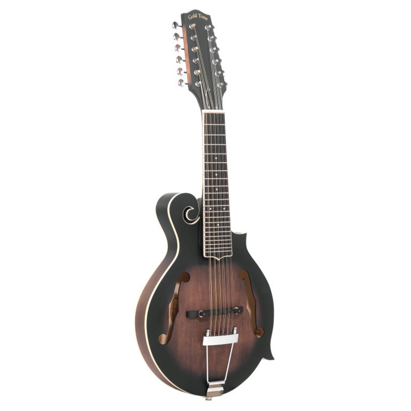 Gold Tone Mando Guitar 12 String+Pickup+Case